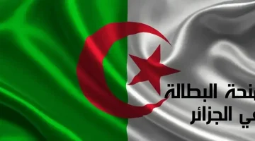 «لا تفوت فرصتك!»: دليلك الشامل لتجديد منحة البطالة في الجزائر لعام 2025 إلكترونيًا بخطوات بسيطة
