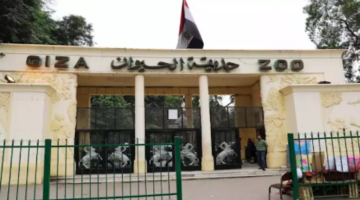 حديقة الحيوان تفتح أبوابها سبتمبر والحكومة تنفي ارتفاع سعر التذكرة