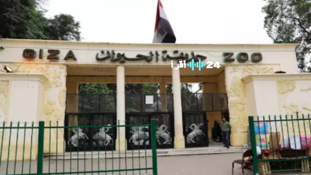 حديقة الحيوان تفتح أبوابها سبتمبر والحكومة تنفي ارتفاع سعر التذكرة
