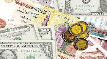 «ثبات لافت في سوق الصرف» استقرار أسعار العملات الأجنبية أمام الجنيه المصري في الأسواق