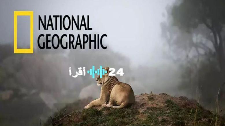 ناشيونال جيوغرافيك تردد 2025 الجديد وطريقة ضبطه على جميع الأقمار