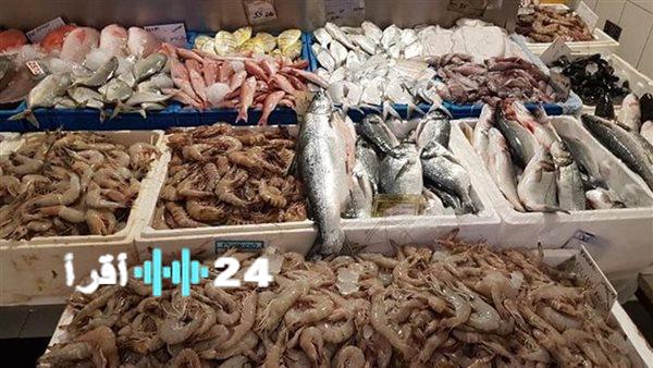 «انتعاشة في الأسواق» أسعار السمك تهبط اليوم باستثناء الجمبري والبوري يفقد 40 جنيها من قيمته