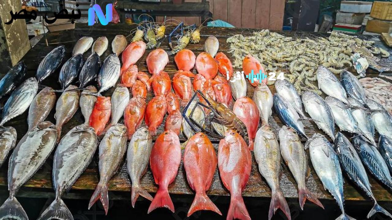 أسعار السمك اليوم في سوق العبور.. تقلبات بين الانخفاض والارتفاع