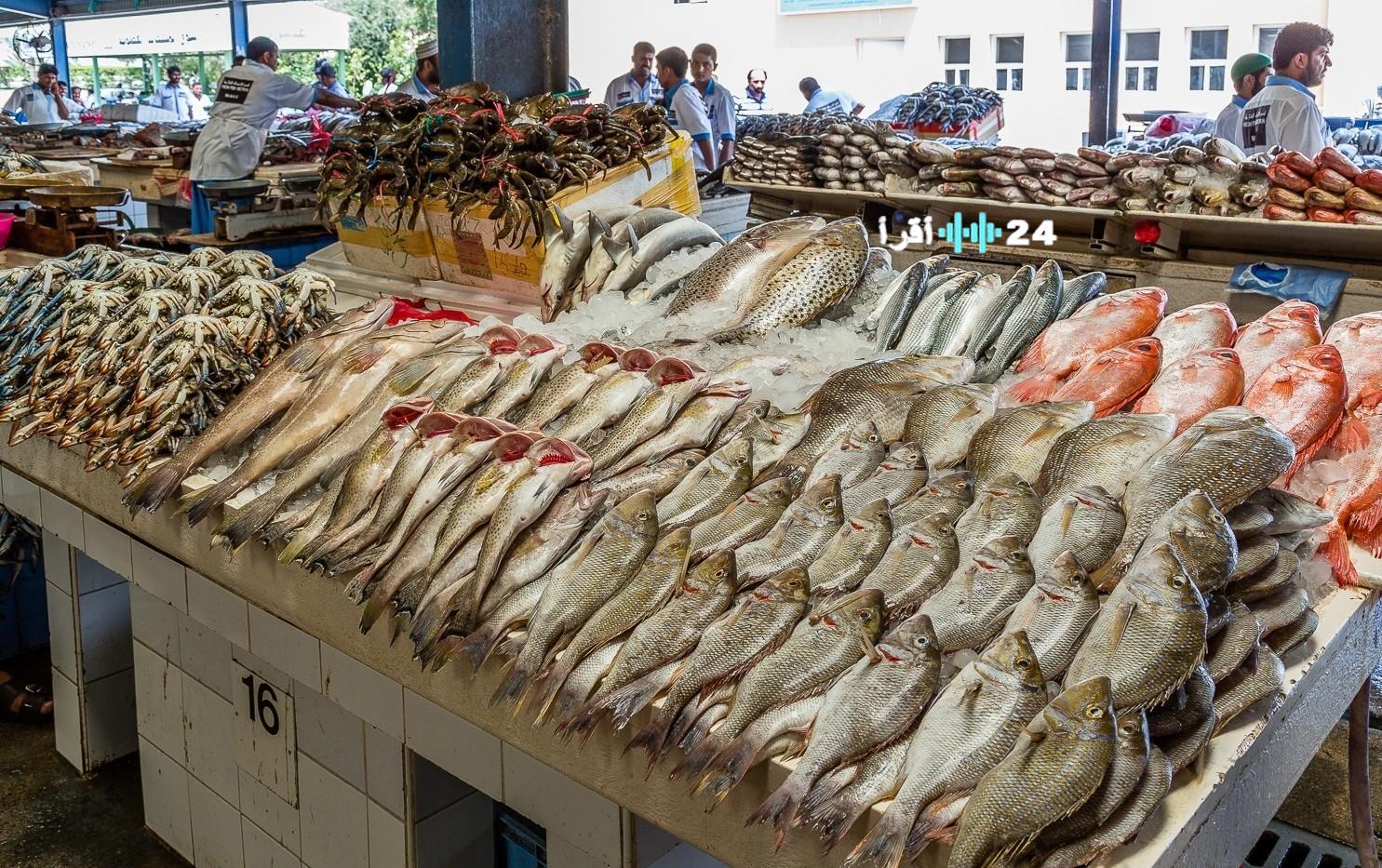 تراجع طفيف في أسعار الأسماك والمأكولات البحرية اليوم الجمعة 15 أغسطس 2025 بالأسواق المصرية