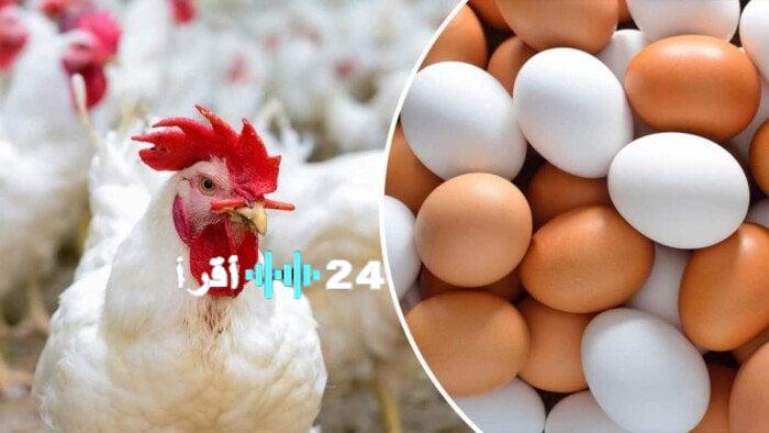 أسعار الفراخ البيضاء والدواجن والبيض اليوم الأربعاء 6 أغسطس 2025