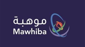 «إنجاز تاريخي» المنتخب السعودي للذكاء الاصطناعي يحصد 4 ميداليات عالمية في ظهوره الأول