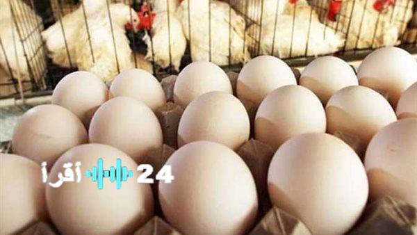 سعر كرتونة البيض اليوم مفاجأة للمستهلك في الأسواق المحلية