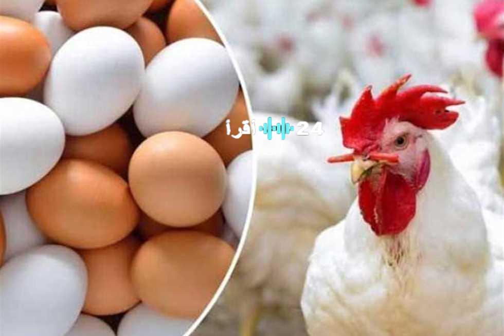 «الشرقية على صفيح ساخن» أسعار الفراخ والبيض تشتعل في أسواق المحافظة اليوم