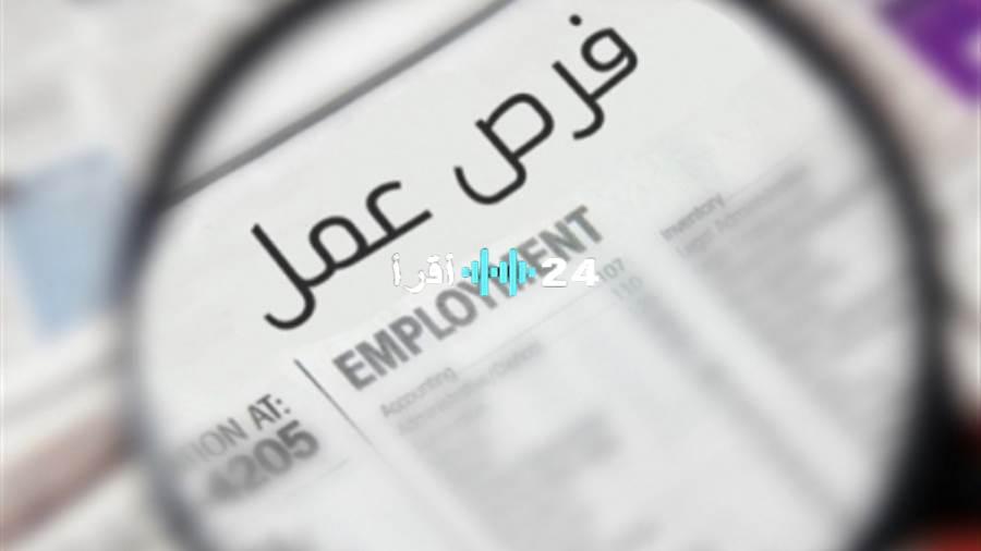 وزارة الكهرباء تعلن وظائف جديدة 2025 تعرف على التخصصات وموعد التقديم