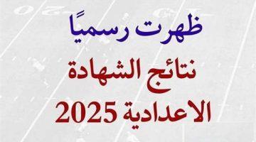 «ترقب وارتياح» إعلان نتائج الدور الثاني للشهادة الإعدادية بالمنوفية