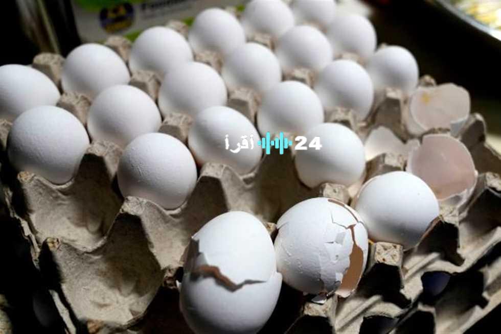 «الأقصر في قلب الحدث» أسعار الفراخ والبيض تتأرجح في أسواق الأقصر الأربعاء 20 أغسطس 2025
