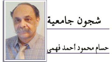 «شريان الصحراء» طريق الواحات: بوابة التنمية والاستكشاف
