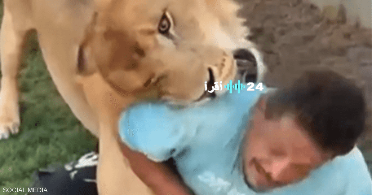 النيابة الليبية تحقق في حادثة إطلاق أسد على عامل مصري.. تفاصيل جديدة