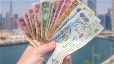 «استقرار ملحوظ» الدرهم الإماراتي يحافظ على تماسكه في ظل تقلبات أسعار صرف العملات الأجنبية