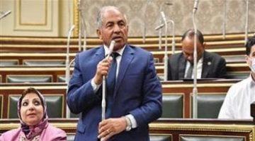 «جاهزون لخوض المعركة» حماة الوطن يعلن استعداداته للانتخابات البرلمانية 2025