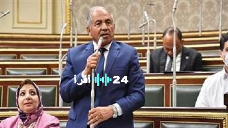 «جاهزون لخوض المعركة» حماة الوطن يعلن استعداداته للانتخابات البرلمانية 2025