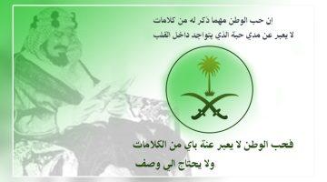«احتفالات تعانق السماء».. صور تهنئة اليوم الوطني السعودي تضيء منصات التواصل