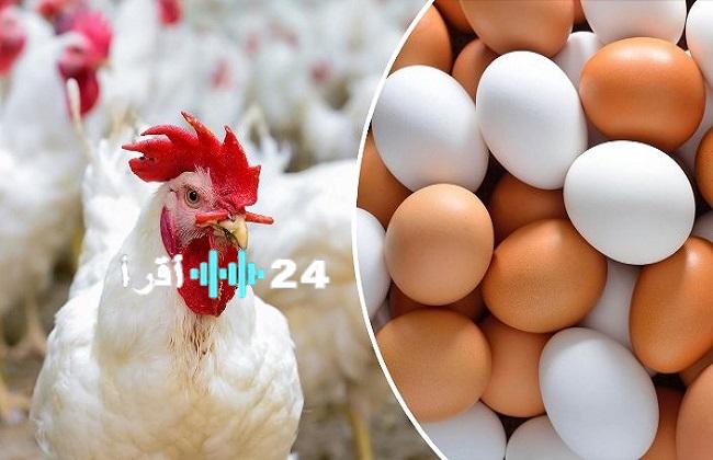 أسعار الفراخ البيضاء اليوم الأحد في مصر تحديث لحظي من الأسواق