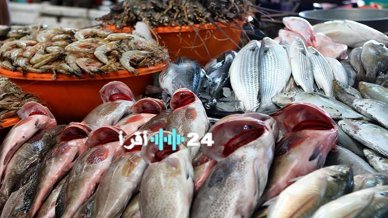 «المرجان يتربع على عرش الأسعار» أسعار الأسماك تشتعل في أسواق مطروح اليوم الأربعاء