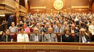«إقبال تاريخي مرتقب» سفارة مصر في نيوزيلندا تدشن التصويت بانتخابات مجلس الشيوخ بعد لحظات