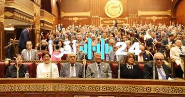 «إقبال تاريخي مرتقب» سفارة مصر في نيوزيلندا تدشن التصويت بانتخابات مجلس الشيوخ بعد لحظات