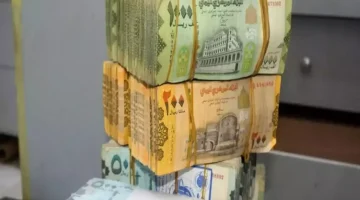 «صعود طفيف» البنك المركزي يعلن عن سعر صرف مُعدّل للريال السعودي أمام العملة اليمنية