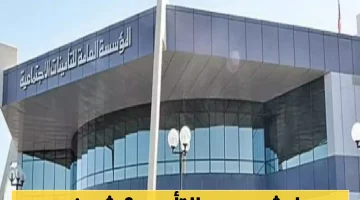 <p>«تساؤلات حول مستقبل التقاعد» <strong>تحديثات التأمينات الاجتماعية السعودية: نسب الاشتراكات الجديدة تثير نقاشًا واسعًا</strong></p>