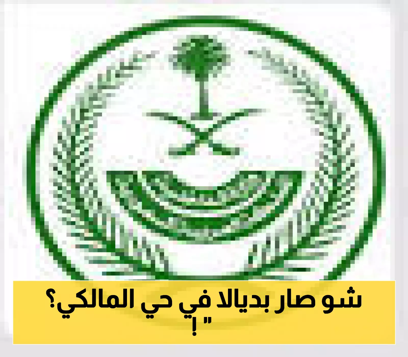 «جريمة تهزّ دمشق» مقتل ديالا الوادي خنقًا في المالكي: تفاصيل جديدة تكشف ملابسات عملية سطو مروعة