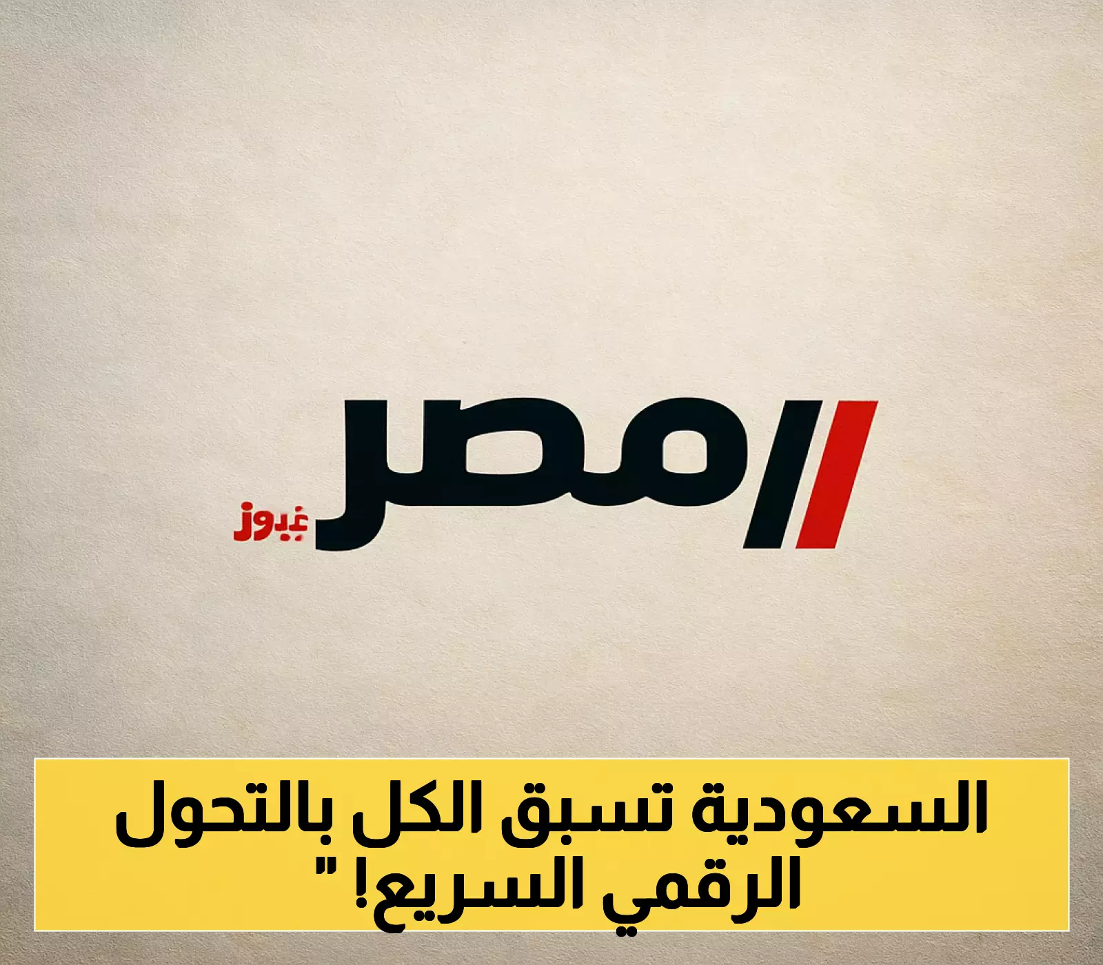 «تحول رقمي غير مسبوق».. السعودية تقود المنطقة بنسبة 97.7% في رقمنة الشركات