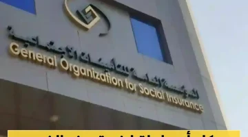 منفعة الأمومة للمرأة العاملة 3 أشهر اشتراك فقط تكفي.. إليك الشروط والتفاصيل الكاملة