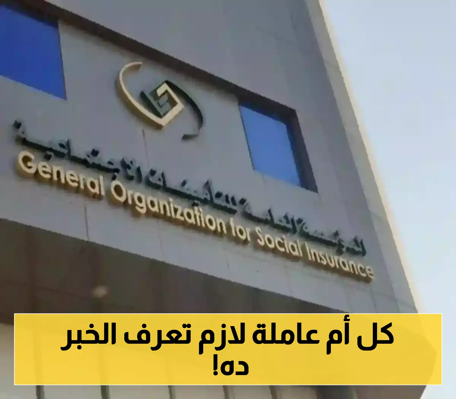 منفعة الأمومة للمرأة العاملة 3 أشهر اشتراك فقط تكفي.. إليك الشروط والتفاصيل الكاملة