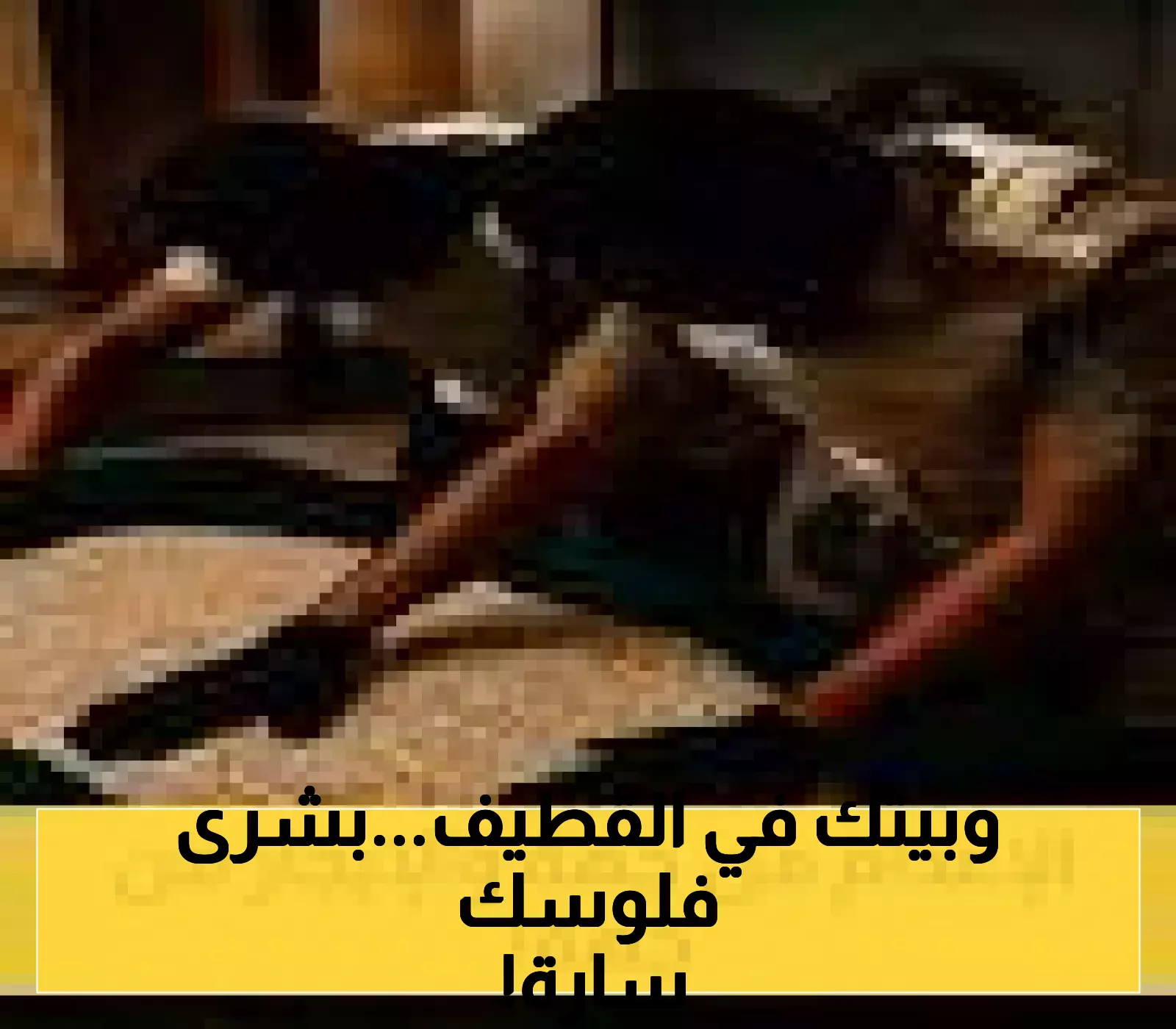 128 حياً بالقطيف تسجل عقاراتها عينياً.. هيئة العقار تناقش تحديات الملاك