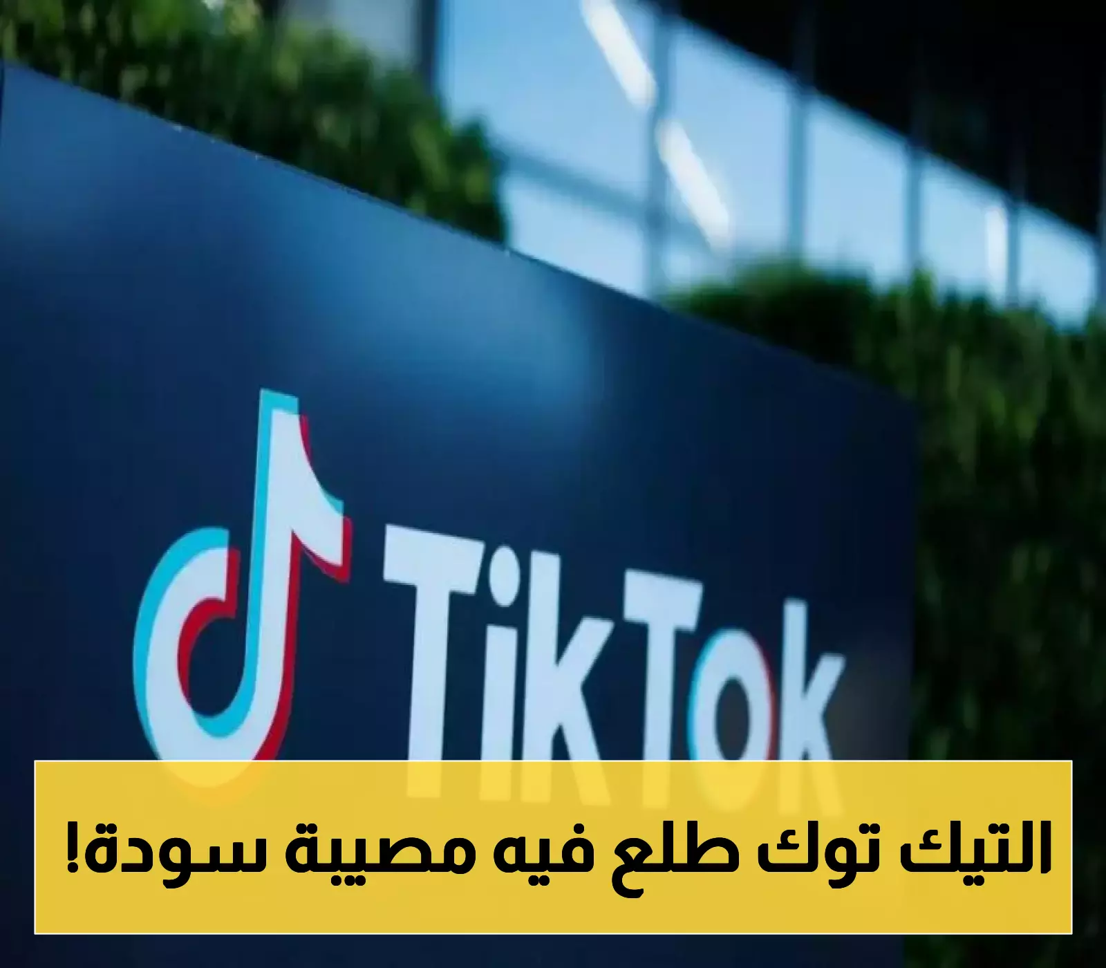 مصر تحذف 2.9 مليون فيديو لتيك توك وتعاقب مشاهير المنصة بالسجن