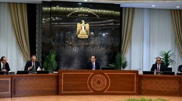 «طفرة مرتقبة» معلومات الوزراء تسلط الضوء على فرص مصر الواعدة في صناعة البطاريات