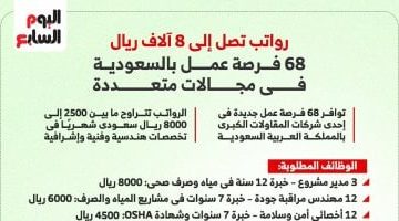 <p><strong>وظائف الأحلام في السعودية: رواتب مجزية تصل إلى 104 آلاف جنيه.. نظرة على أبرز الفرص</strong></p>