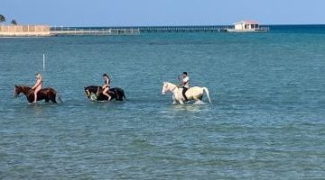 «متعة لا تُنسى» : الغردقة تستقطب عشاق الخيل بتجربة فريدة على الشواطئ (صور)
