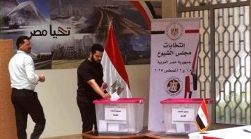 «إقبال متزايد» المصريون في أستراليا يواصلون الإدلاء بأصواتهم في اليوم الثاني من انتخابات مجلس الشيوخ