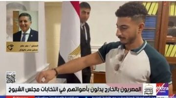 «تعبير عن الانتماء» سفير مصر في اليونان: إقبال المصريين على انتخابات الشيوخ يجسد وعيهم الوطني