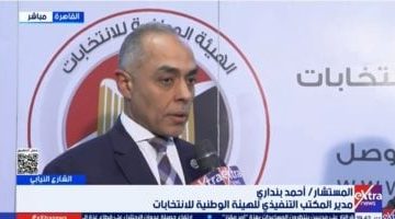 <p><strong>الوطنية للانتخابات تُنهي عمل 25 مقرًا انتخابيًا في الخارج بعد انتهاء التصويت</strong></p>