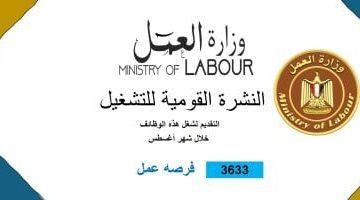 وزارة العمل توفّر 3633 فرصة عمل في 34 شركة عبر 10 محافظات