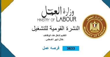 وزارة العمل توفّر 3633 فرصة عمل في 34 شركة عبر 10 محافظات