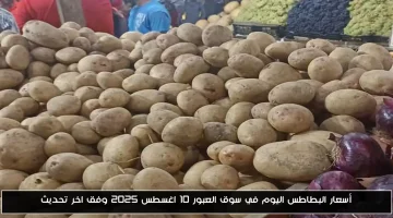 «الكيلو بكام» أسعار البطاطس في سوق العبور تحديثات 10 أغسطس 2025