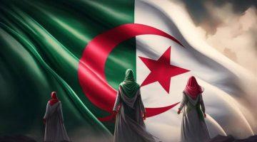 نظام التقاعد في الجزائر 2025 تفاصيل السن القانوني وآليات حساب المعاش