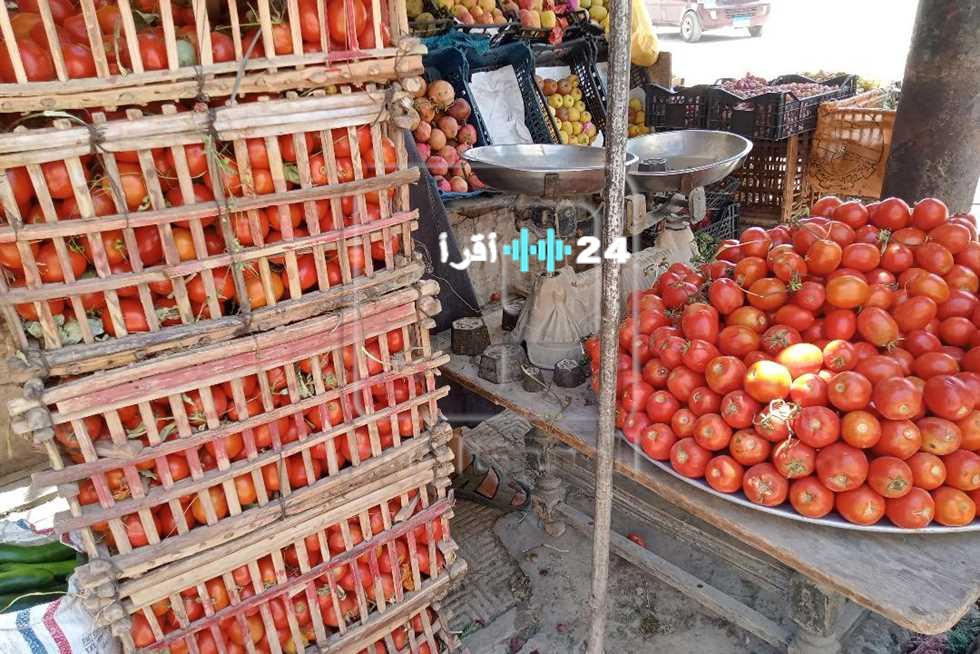 «انخفاض وتذبذب» أسعار الخضروات في أسواق المنيا اليوم الاثنين