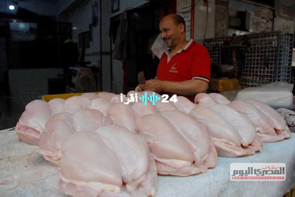 «انخفاض مفاجئ».. أسعار الدواجن البيضاء تهبط إلى 76 جنيهًا في أسواق الإسكندرية اليوم