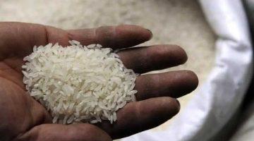 «صعود وهبوط» أسعار الأرز تثير تساؤلات المستهلكين اليوم الأحد في الأسواق المصرية