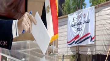 «حصاد الساعات الأولى».. رصد وتحليل لأبرز أحداث انتخابات مجلس الشيوخ خلال أول 5 ساعات من التصويت