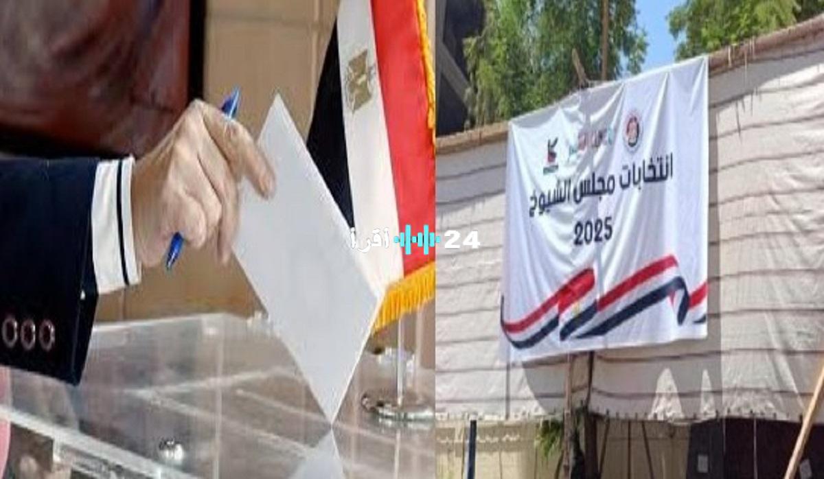 «حصاد الساعات الأولى».. رصد وتحليل لأبرز أحداث انتخابات مجلس الشيوخ خلال أول 5 ساعات من التصويت