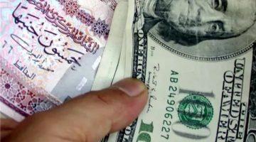 توقعات بصعود الجنيه المصري إلى 40 جنيهًا للدولار مدعومًا بخمسة مؤشرات قوية