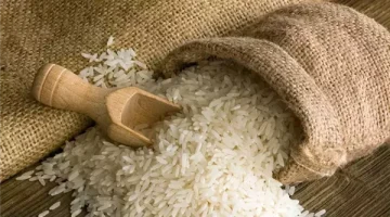«صعود وهبوط» أسعار الأرز الشعير تثير جدلاً في الأسواق اليوم الجمعة 29 أغسطس 2025